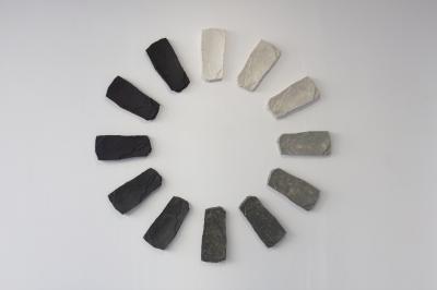 Exposición Carlos Martínez