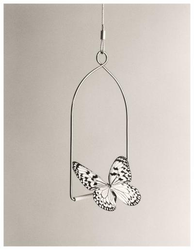 Isabel Muñoz y Chema Madoz