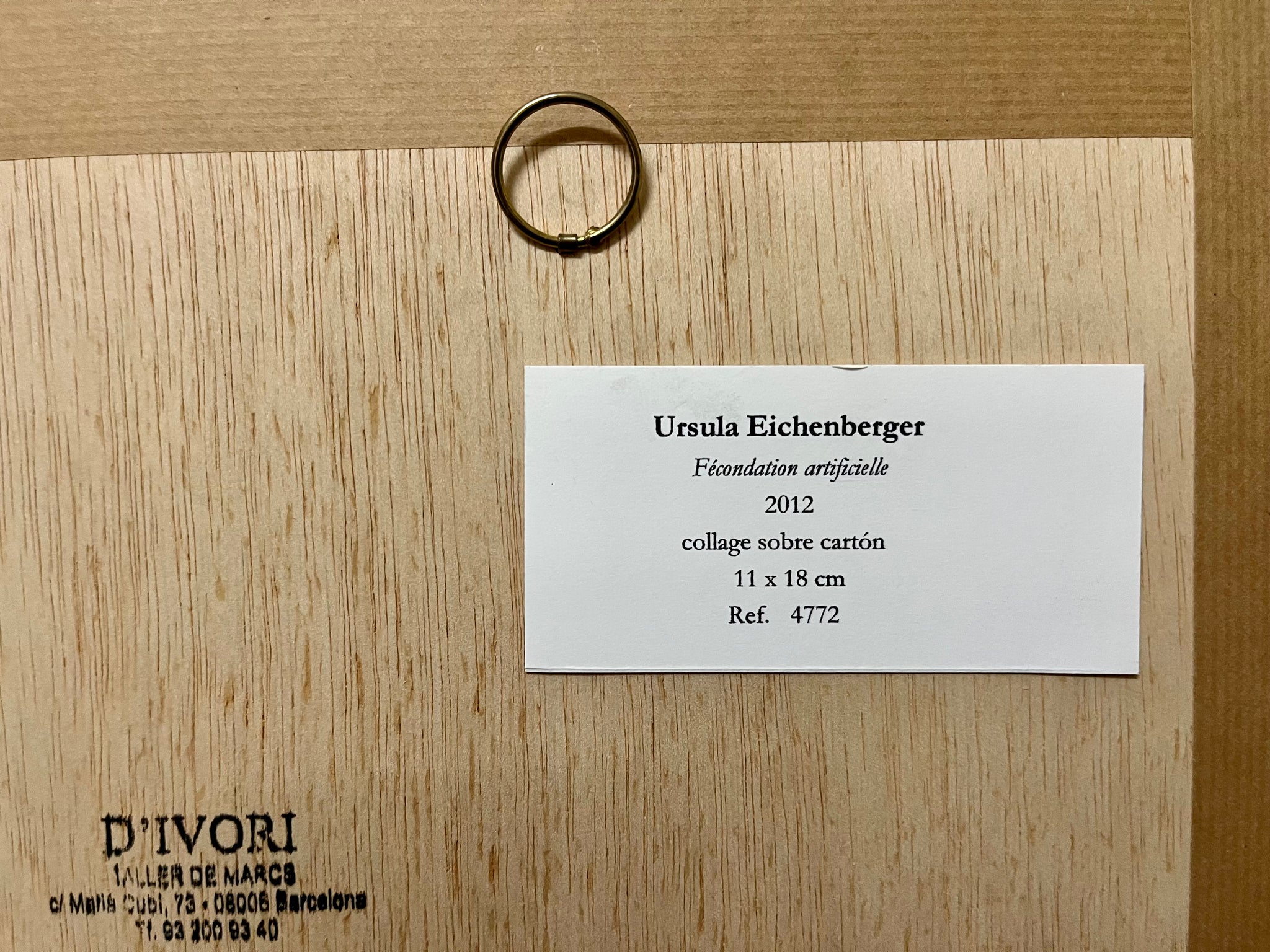 Ursula Eichenberger
