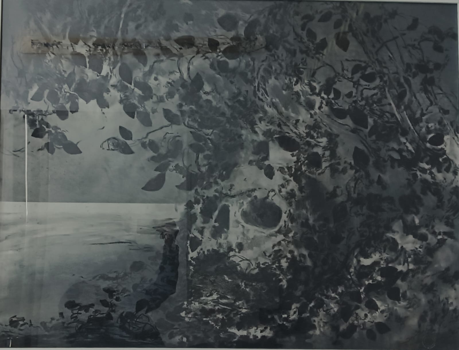 Antonio Faria