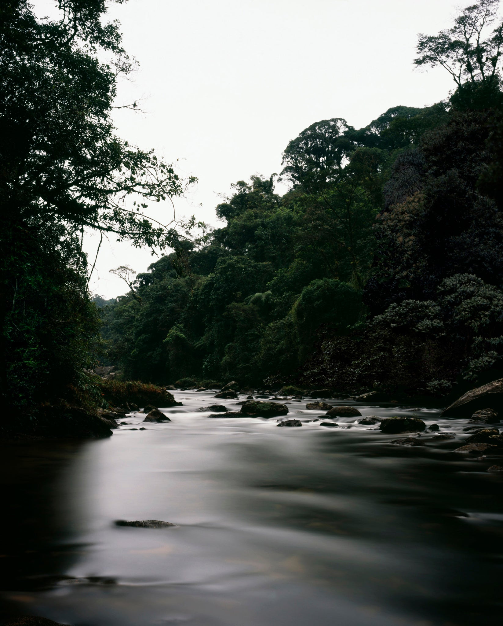 Caio Reisewitz