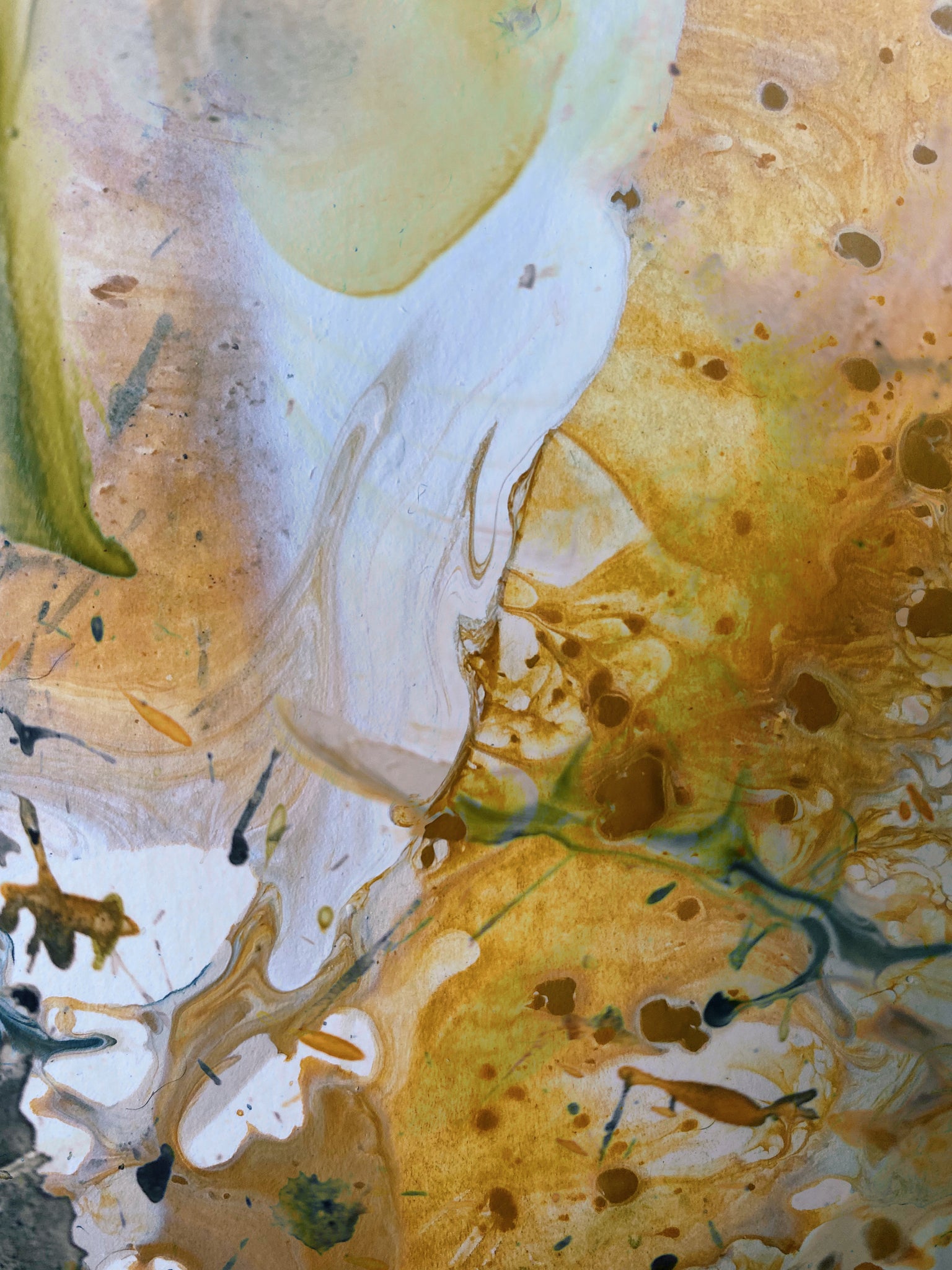 David Heras Verde