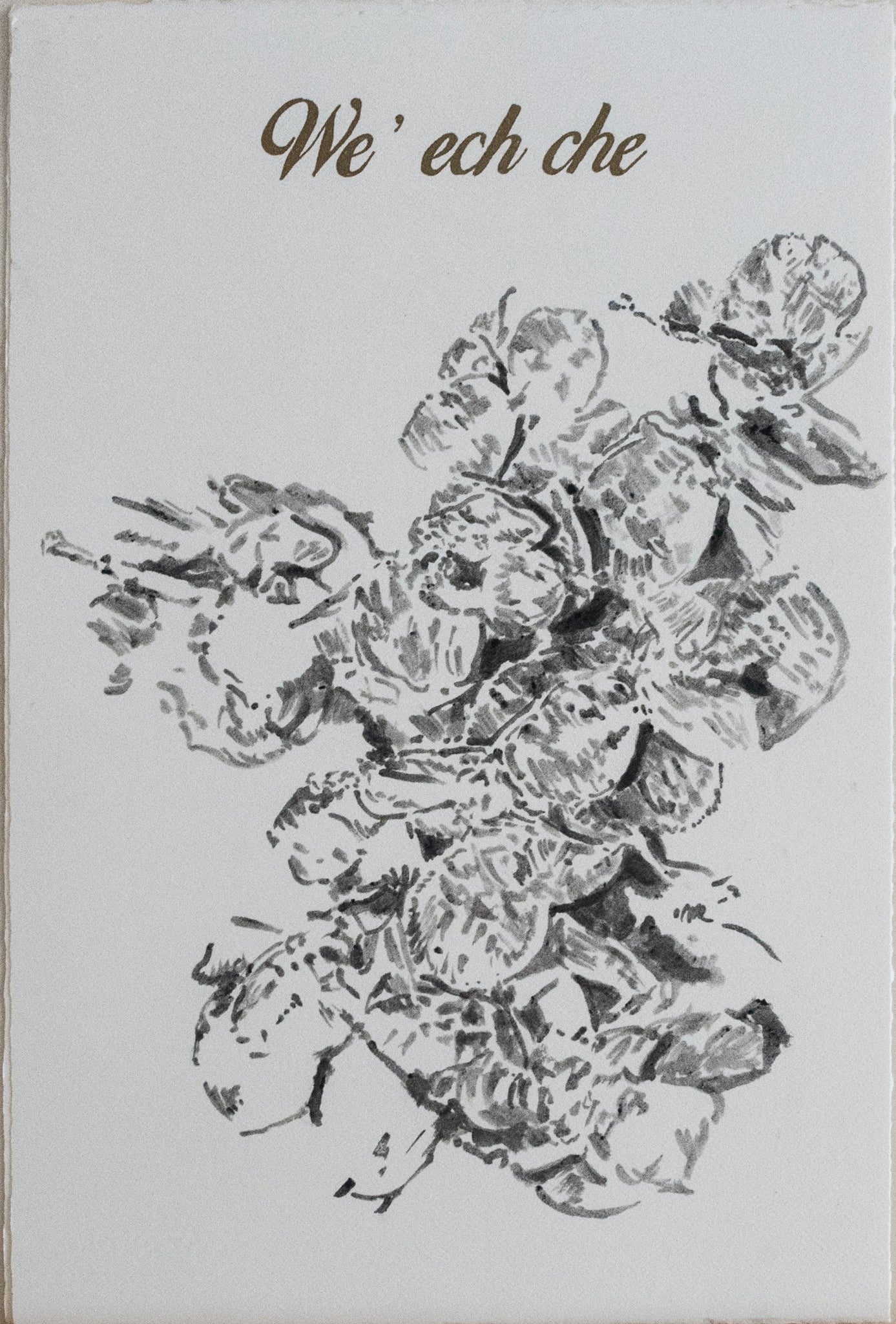 Fritzia Irízar
