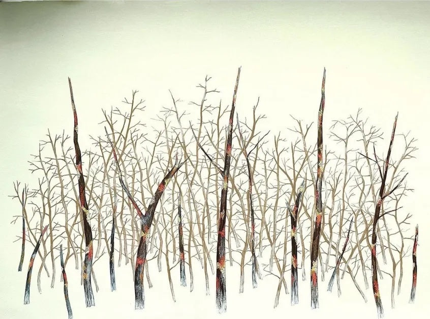 Karine Boulanger