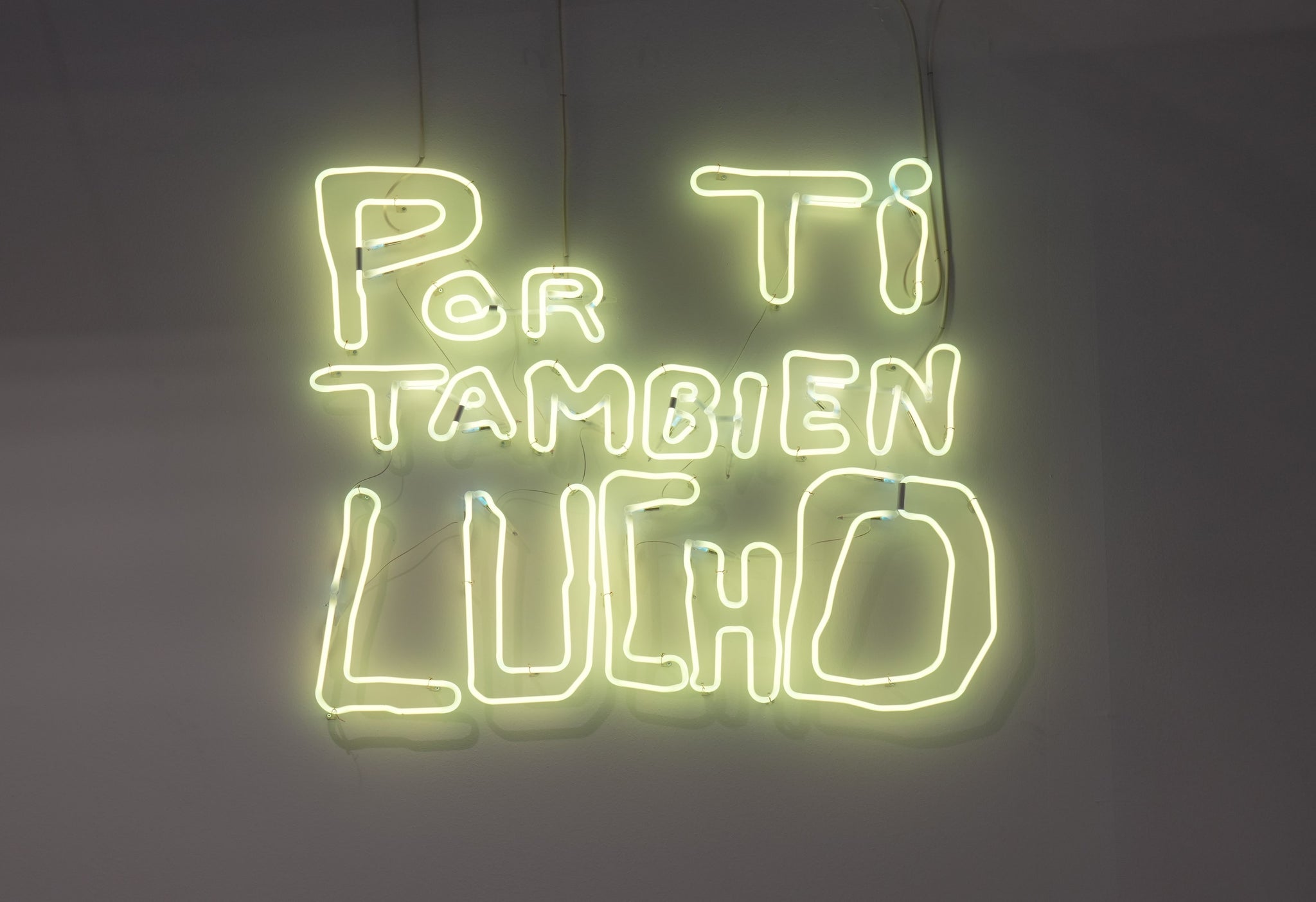 Marco Godoy