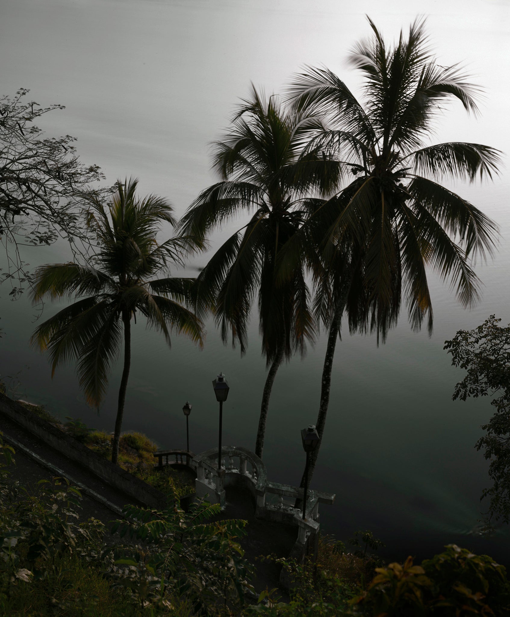 Caio Reisewitz