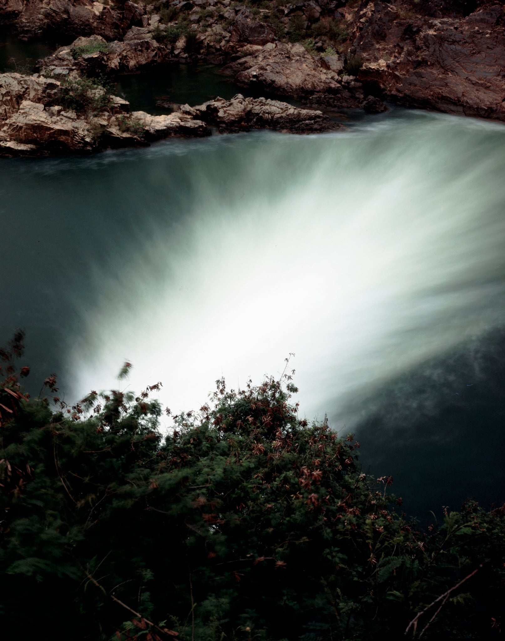 Caio Reisewitz
