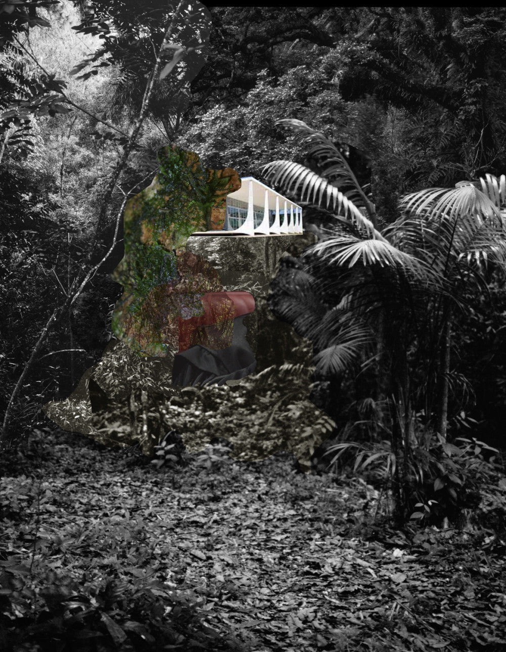 Caio Reisewitz