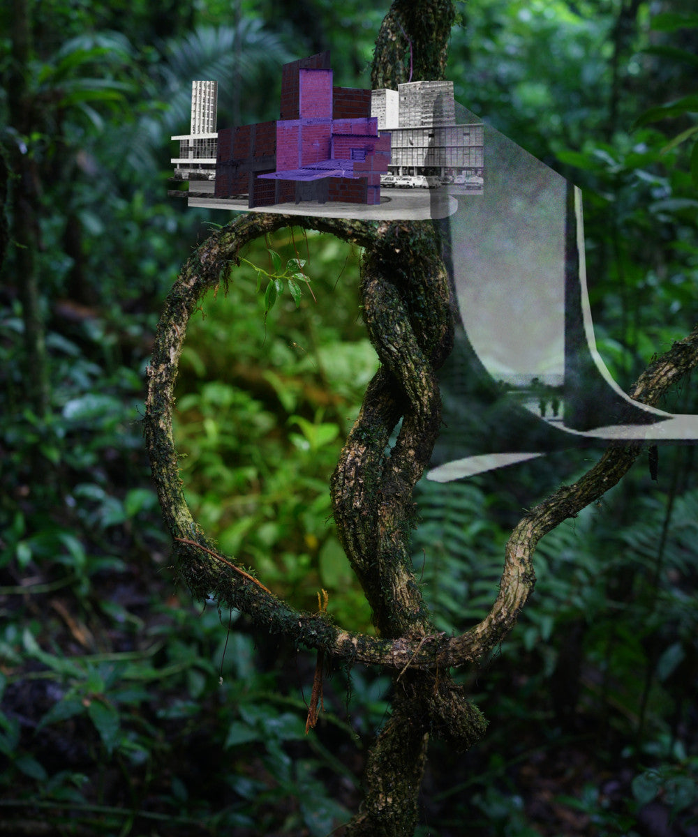 Caio Reisewitz