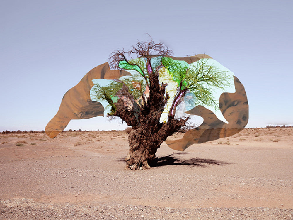 Caio Reisewitz