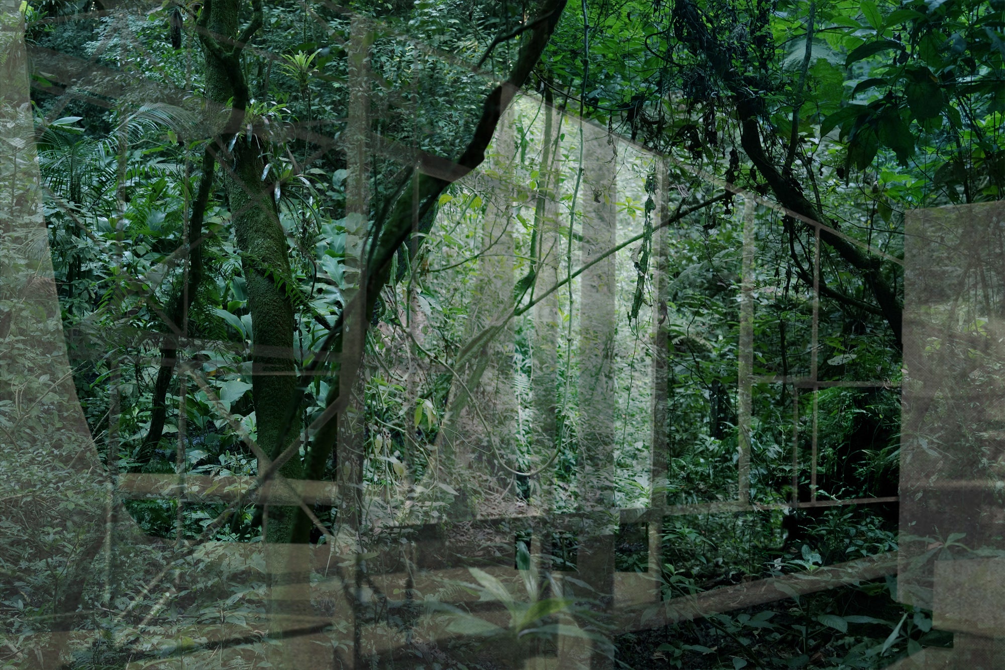 Caio Reisewitz